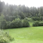 Maria Apartman Todtmoos